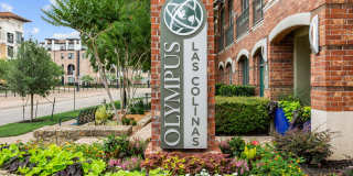 Olympus Las Colinas Gallery 62