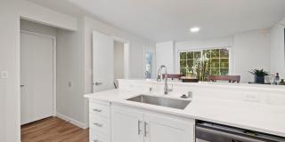 Waters Edge Gallery 25