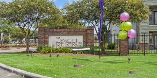 Bayou Reserve Gallery 49