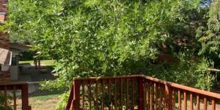 Mid-Town Single Family Home w/ Spacious Fenced Yard Gallery 28