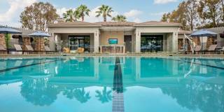 Camino Real Gallery 3