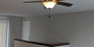 Peaceful cul‑de‑sac living! Beautiful 4 bedroom-2 bathroom home for rent! Gallery 4