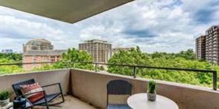 incredible view from the unit, 2 bedroom and 2 full bath incredible view from the unit, 2 bedroom and 2 full bath Gallery 11