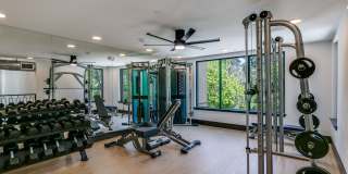 Theo Allen Gateway - Apartments & Townhomes Gallery 4