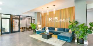 Iris Gallery 26
