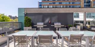 Lex and Leo at Waterfront Station Gallery 24