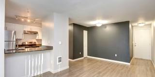 Union Bay Gallery 14