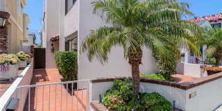 313 Diamond Avenue Gallery 12