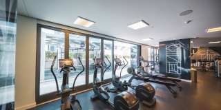 Aven Aven Gallery 14