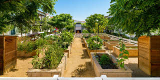 Santa Barbara in Chino Hills Gallery 28