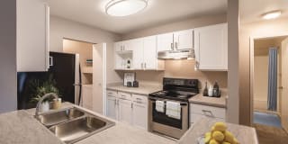 Huntington Park Gallery 5