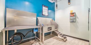 The Baxly Gallery 22