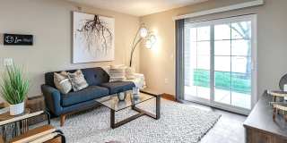 Tiburon View Tiburon View Gallery 1