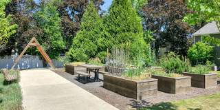 Conifer Place Apartments Gallery 15