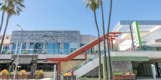 Belle Fontaine Gallery 52