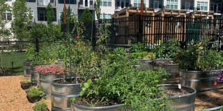 The Point at Green District Gallery 13