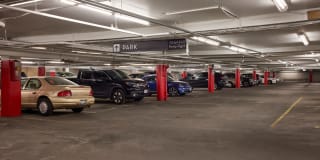 Regents Park Gallery 30