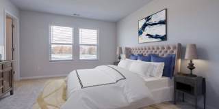 Poplin Trace Gallery 11