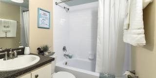 Set Point Set Point Gallery 23