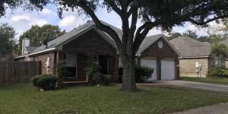 2846 olive Gallery 1