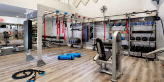 Everly Darien Gallery 20