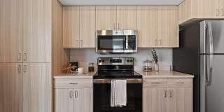 Amazon Falls Gallery 3