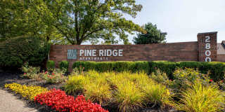 Pine Ridge Apartments Gallery 40