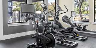 The Legend Gallery 16