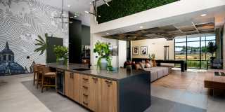 North Grove Gallery 86