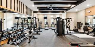 Riverchase Vista Gallery 9