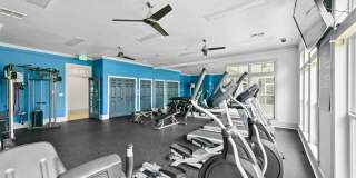 The Haven at West Melbourne Gallery 31