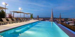 The Silva Gallery 23