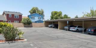 University Palms Gallery 10