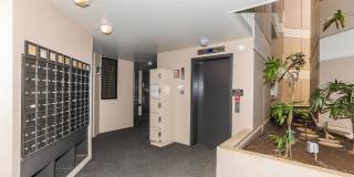 Piikoi Atrium - studio,1 bath with 1 covered parking stall Gallery 25