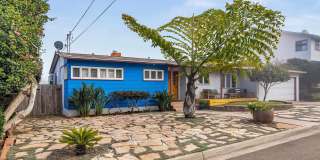 541 Tarento Dr Gallery 48