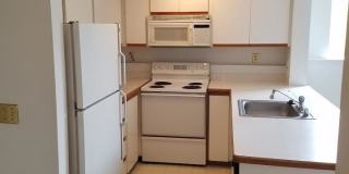 Great Apartment in the Heart of Ballard. Gallery 3