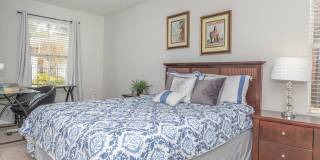 Redstone Vista Gallery 13