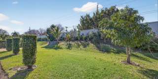 168 Thornton Drive Gallery 51
