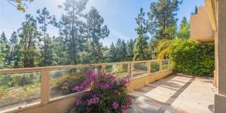 24 Cellini Gallery 8