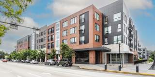 Arsenal 201 Gallery 24