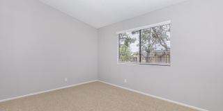 Mountain Springs Gallery 35