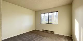 1081 Beach Park Blvd #211 Gallery 7