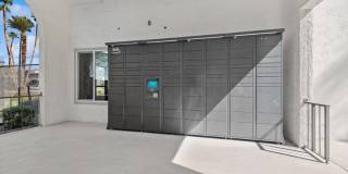 ReNew Biltmore Gallery 41