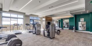 The Ivy Park Place Gallery 35