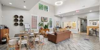 Grove at Alban Gallery 5