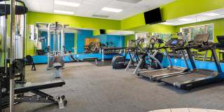 Regency Park Gallery 5