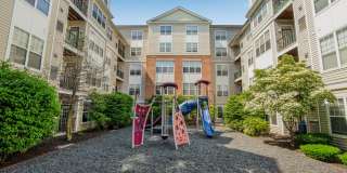 Sofi Lyndhurst Gallery 45