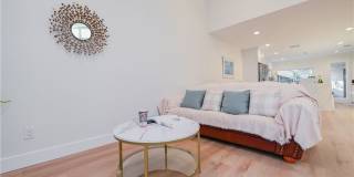 15 Camphor S Gallery 17