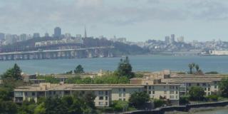 Sunny Studio in Resort Setting on the Bay 15 minutes from SF Gallery 36