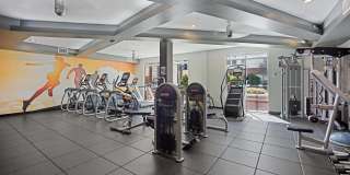 Centric LoHi by Windsor Gallery 25